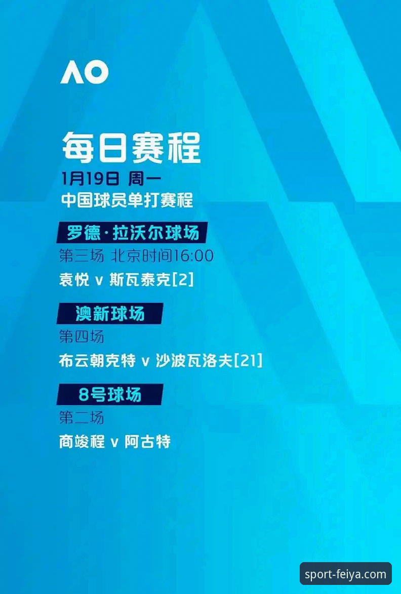 飞亚体育资讯下载全面评测：从安装到数据体验的深度分析